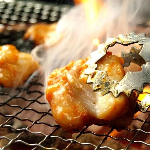 博多で美味しいホルモン焼肉を堪能!お得なコースもご用意しています